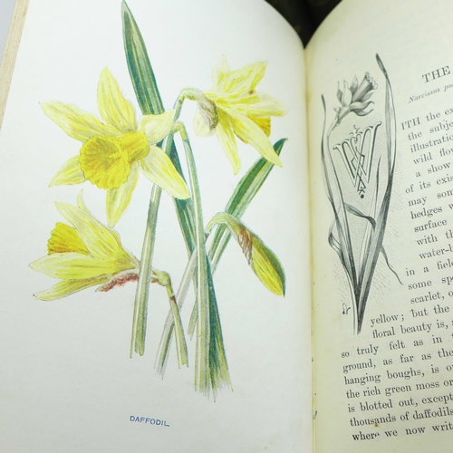 673 - Seven volumes, Familiar Wild Flowers, F Edward Hulme, published by Cassel & Company