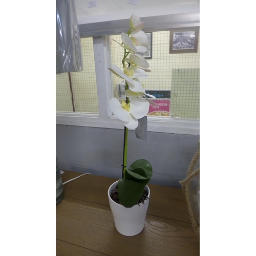 1323 - An artificial single moth orchid (54837907)   #