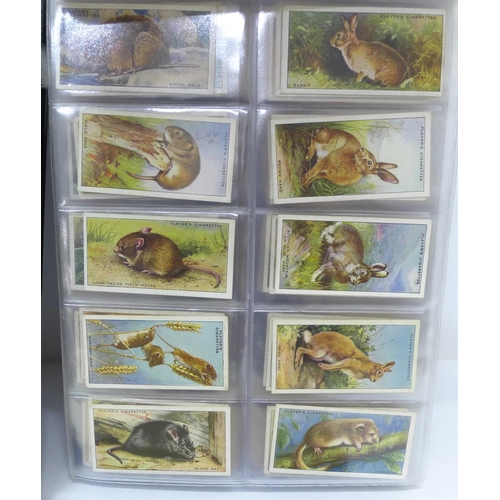 680 - An album of fourteen complete sets of cigarette cards, an album of nine sets of trade cards and two ... 