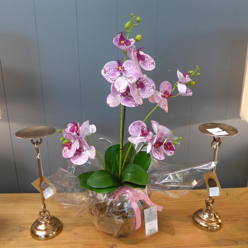 1522 - A Phalaenopsis orchid in a glass bowl (52641014)   #