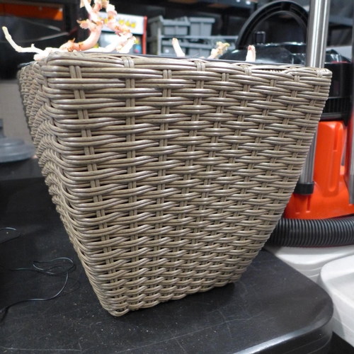 3176 - Two Mixed Pre-Planted Bulbs     (190B-28, 29)   * This Lot Is Subject To Vat