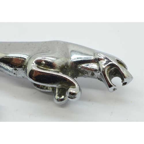 639 - A Jaguar car mascot and a Jaguar letter opener