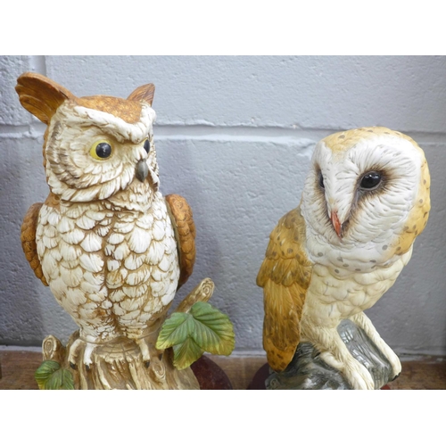 818 - Two Leonardo figures of owls on wooden plinths