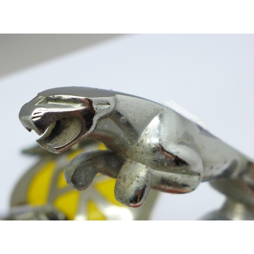 820 - Two Jaguar car mascots and an AA badge
