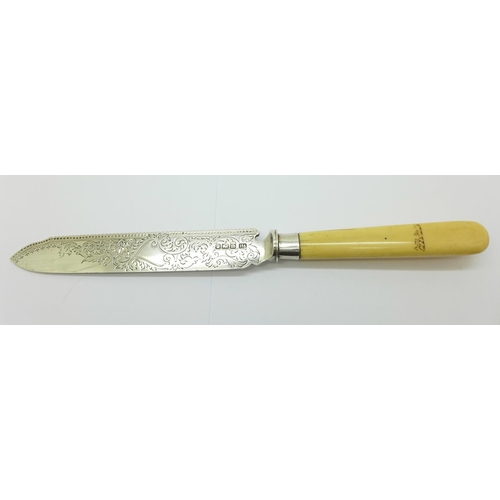 Lot 873       
