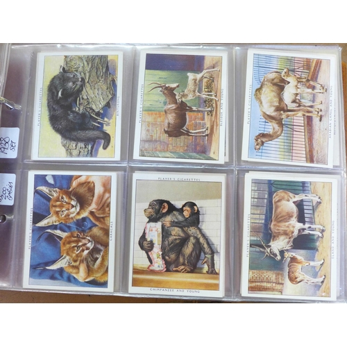 723 - An album of cigarette cards including John Player, Zoo Babies, Gilbert & Sullivan, Old Naval Prints,... 