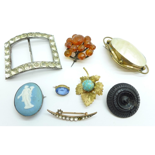 922 - Seven brooches and a buckle