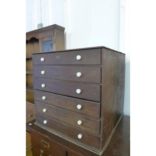 38 - A Victorian mahogany six drawer collector's specimen chest, 62cms h, 63cms w, 61cms d