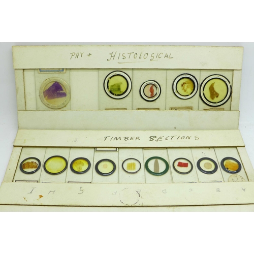 712 - A collection of microscopic slides, some late 19th Century