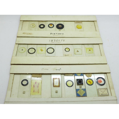 712 - A collection of microscopic slides, some late 19th Century