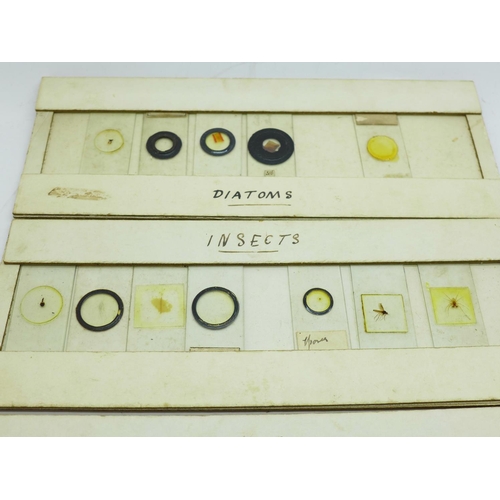 712 - A collection of microscopic slides, some late 19th Century