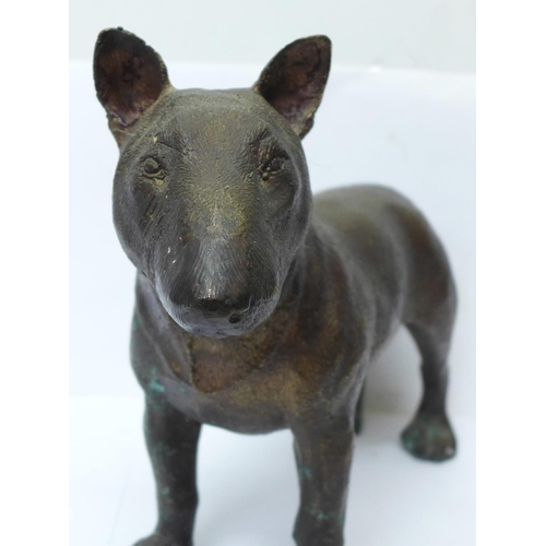 828 - A bronzed sculpture figure of an English Bull Terrier, 31cm