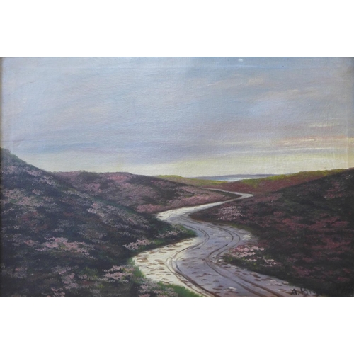 11 - English School, moorland landscape, oil on canvas, indistinctly signed, 45 x 64cms, framed