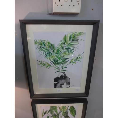 1506 - A Summer Thornton print, 'Majesty Palm Print', 40cm x 50cm (PPFPPR43686G23)   #