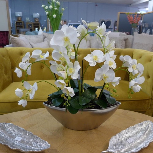 1701 - Phalaenopsis orchids in a silver bowl (54841643)   #