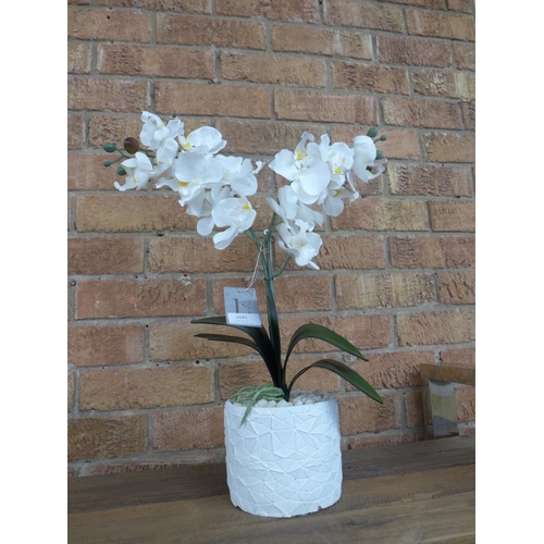 1691 - An artificial white double moth orchid in a ceramic pot (5481296)   #