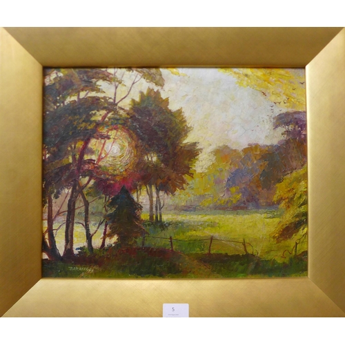 3 - Fred Darking (1911-1999), Evening Sun Through Trees, oil on board, 33 x 41cms, framed