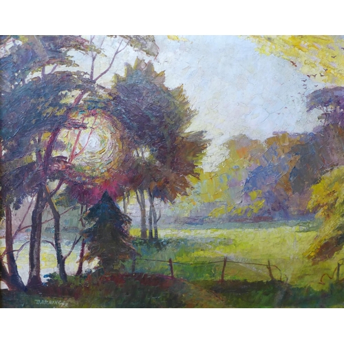 3 - Fred Darking (1911-1999), Evening Sun Through Trees, oil on board, 33 x 41cms, framed