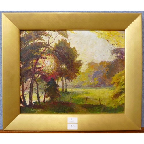 3 - Fred Darking (1911-1999), Evening Sun Through Trees, oil on board, 33 x 41cms, framed