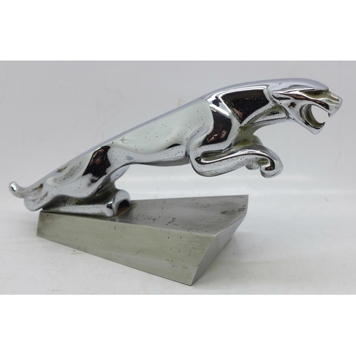 635 - A Jaguar car mascot on a steel mount