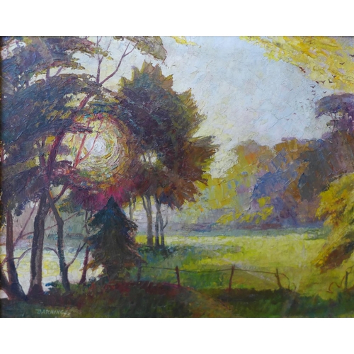 3 - Fred Darking (1911-1999), Evening Sun Through Trees, oil on board, 33 x 41cms, framed