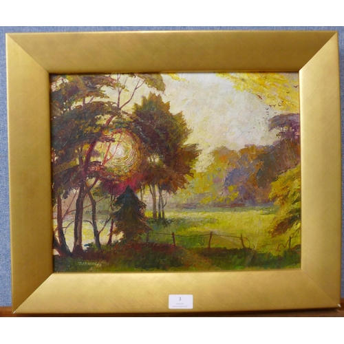 3 - Fred Darking (1911-1999), Evening Sun Through Trees, oil on board, 33 x 41cms, framed