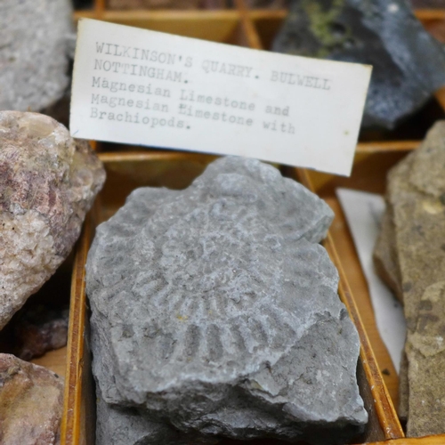 767 - A collection of fossils and geological specimens