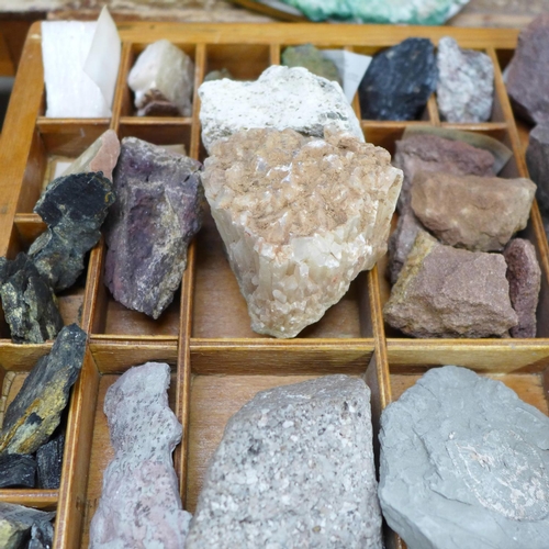 767 - A collection of fossils and geological specimens