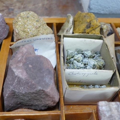 767 - A collection of fossils and geological specimens