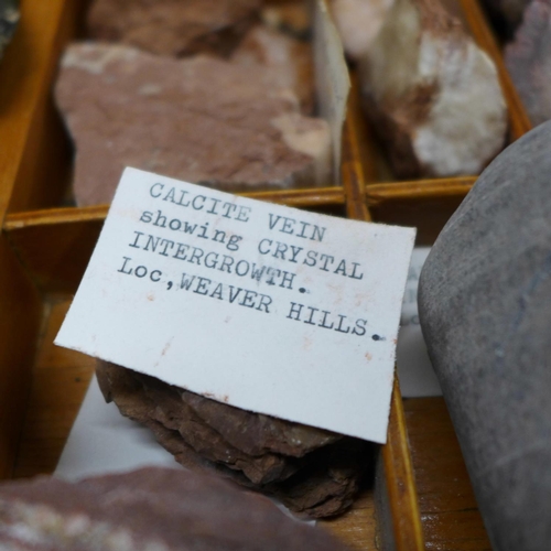 767 - A collection of fossils and geological specimens