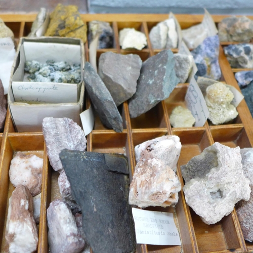 767 - A collection of fossils and geological specimens