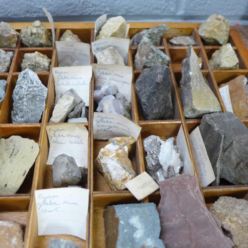 767 - A collection of fossils and geological specimens