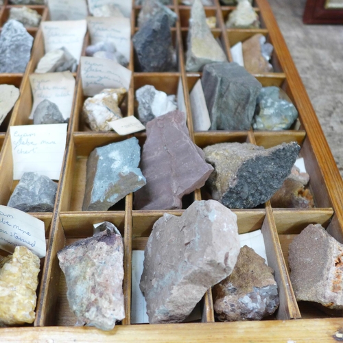 767 - A collection of fossils and geological specimens