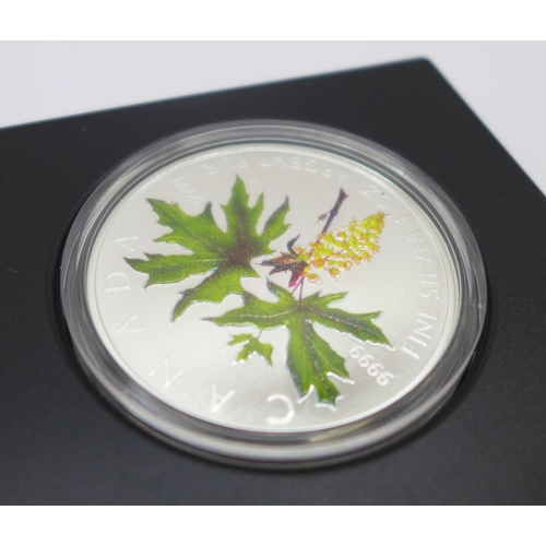 802 - A Royal Canadian Mint 2005 Silver Maple Leaf Coloured Coin, one ounce fine silver $5 coin, with case