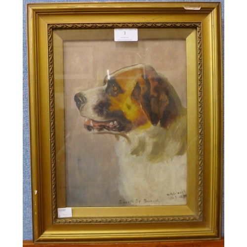 3 - H.A. Clough, study of Smooth St. Bernard, oil on board, dated 1899, 28 x 20cms, framed