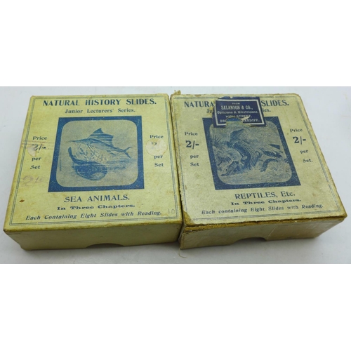 699 - Three sets of lantern slides, Natural History and Aesops Fables and two Royal Mail mint stamp sets