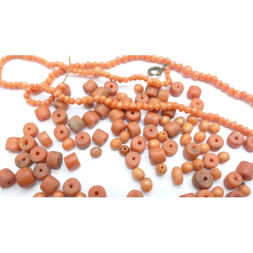 1036 - Coral beads for restringing and a necklace