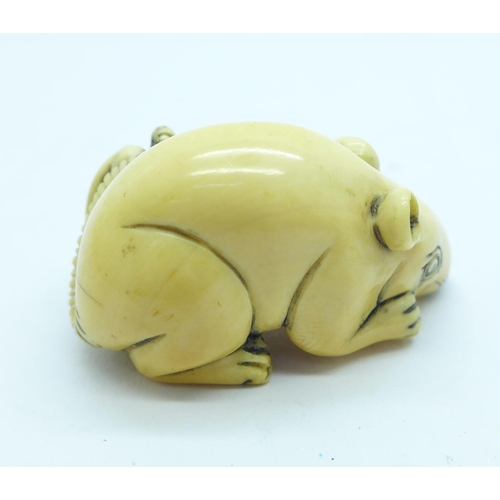 860 - A carved ivory netsuke of a rat with tortoise