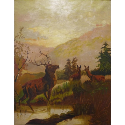 34b - Ada White, Highland scene with a stag and deers, oil on canvas, dated 1900, 50 x 40cms, framed