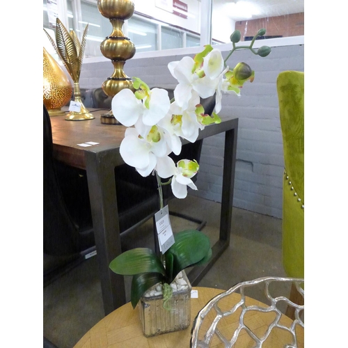 1323 - An artificial cream and green orchid in a chrome glass cube (59438005)   #