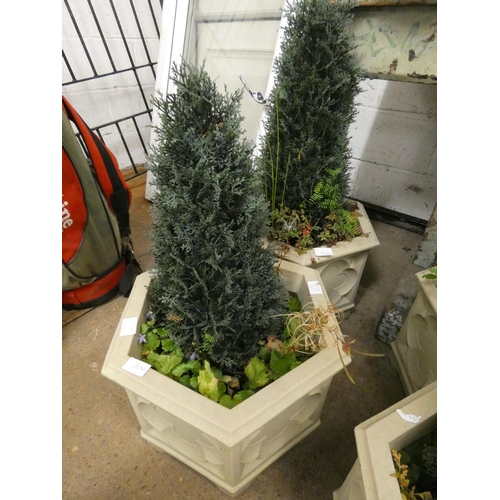 2642 - Pair of artificial conifers in hexagonal plastic pots