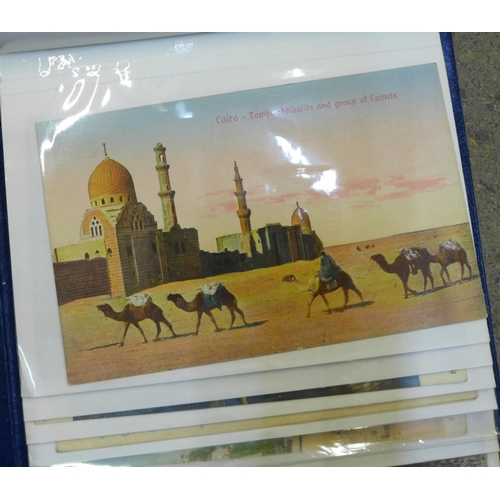 684 - Postcards; Islamic and ethnic postcards in two albums (66 cards)