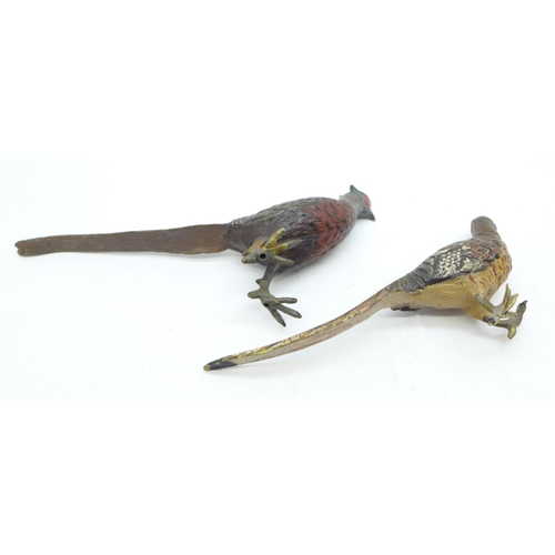 849 - Two cold painted bronze models of pheasants, one marked Austria