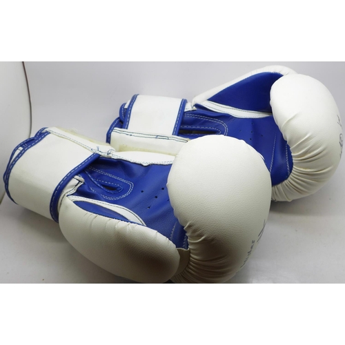 700 - A pair of Hatton boxing gloves, each signed by Carl Froch