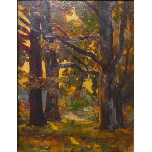 16 - Joseph Victor Communal (French 1876-1962), forest landscape, oil on board, 34 x 25cms, framed