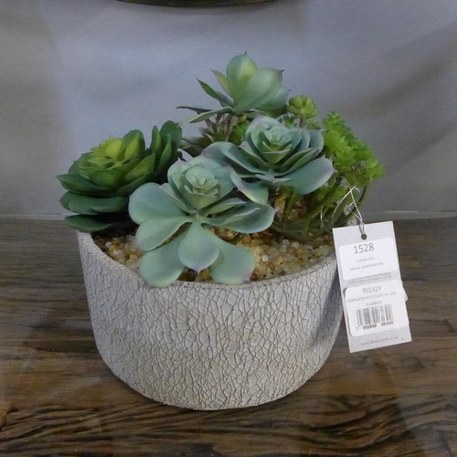 1497 - A mixed alpine display in a ceramic pot (50242910)  #