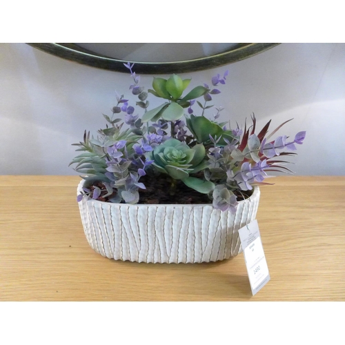 1525 - A mixed alpine display in a ceramic pot (50242609)  #