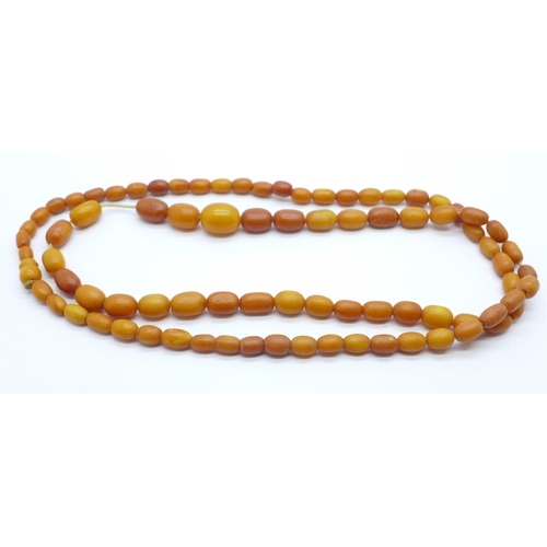 1027 - A string of butterscotch amber beads