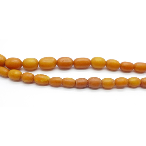 1027 - A string of butterscotch amber beads