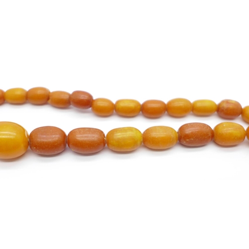 1027 - A string of butterscotch amber beads